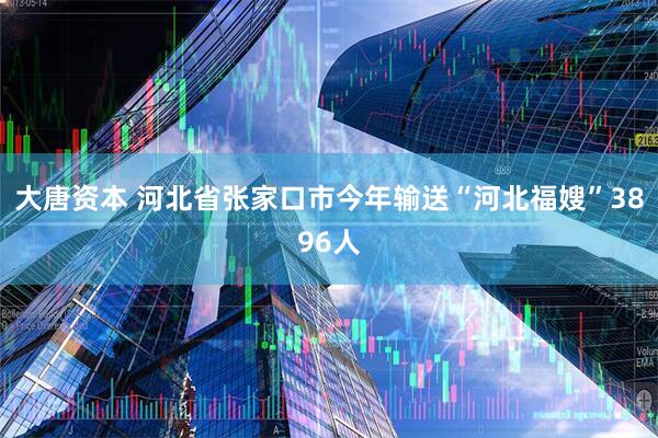 大唐资本 河北省张家口市今年输送“河北福嫂”3896人
