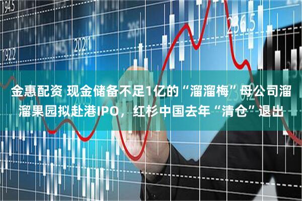 金惠配资 现金储备不足1亿的“溜溜梅”母公司溜溜果园拟赴港IPO，红杉中国去年“清仓”退出