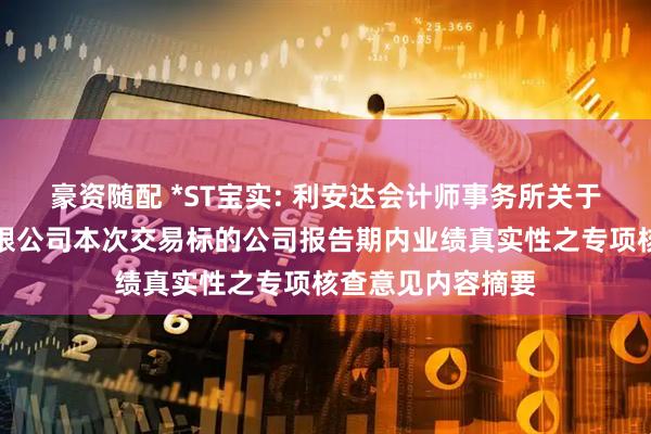 豪资随配 *ST宝实: 利安达会计师事务所关于宝塔实业股份有限公司本次交易标的公司报告期内业绩真实性之专项核查意见内容摘要