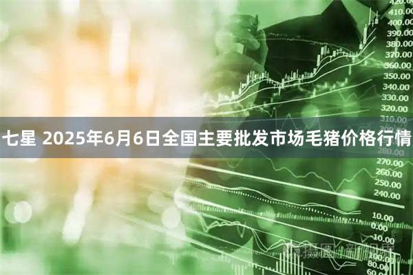 七星 2025年6月6日全国主要批发市场毛猪价格行情