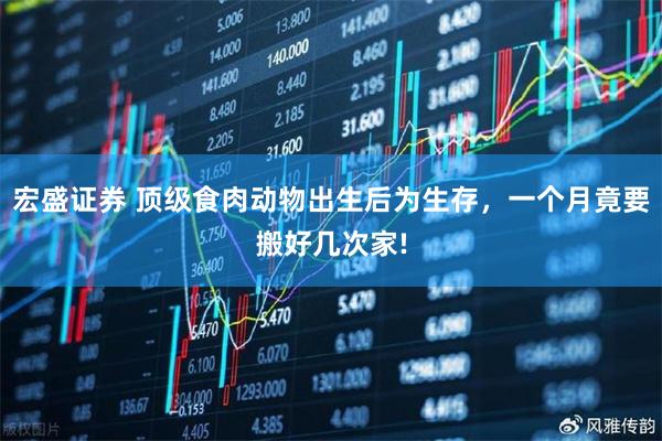 宏盛证券 顶级食肉动物出生后为生存，一个月竟要搬好几次家!