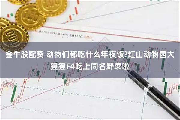金牛股配资 动物们都吃什么年夜饭?红山动物园大猩猩F4吃上同名野菜啦