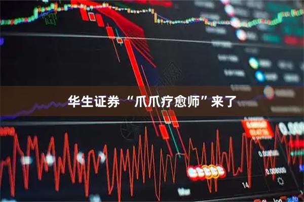 华生证券 “爪爪疗愈师”来了