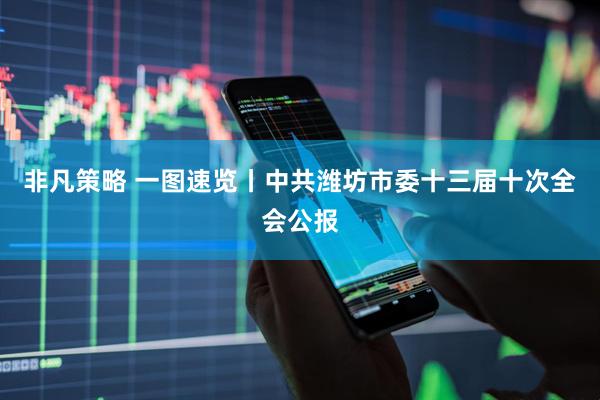 非凡策略 一图速览丨中共潍坊市委十三届十次全会公报