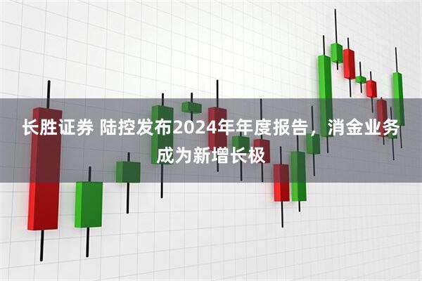 长胜证券 陆控发布2024年年度报告，消金业务成为新增长极