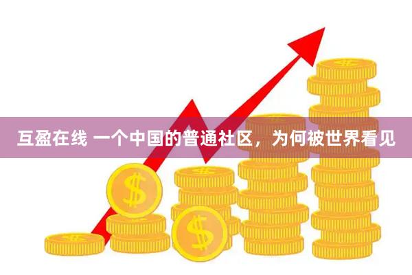 互盈在线 一个中国的普通社区，为何被世界看见